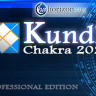 Kundli Chakra 2022 Professional With KeyGen